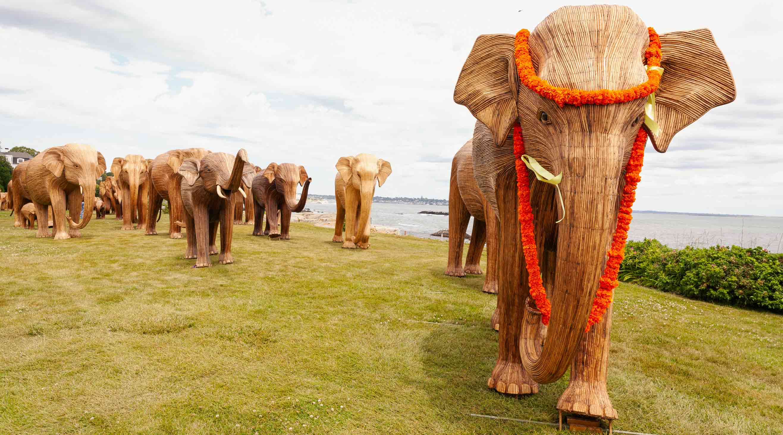 The Great Elephant Migration Newport – LOVE BRAND & Co.