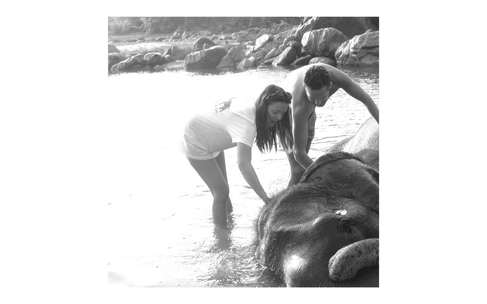 Love Brand founders Oliver and Rose washing Tara the elephant