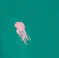 Pink jellyfish illustration on a teal background