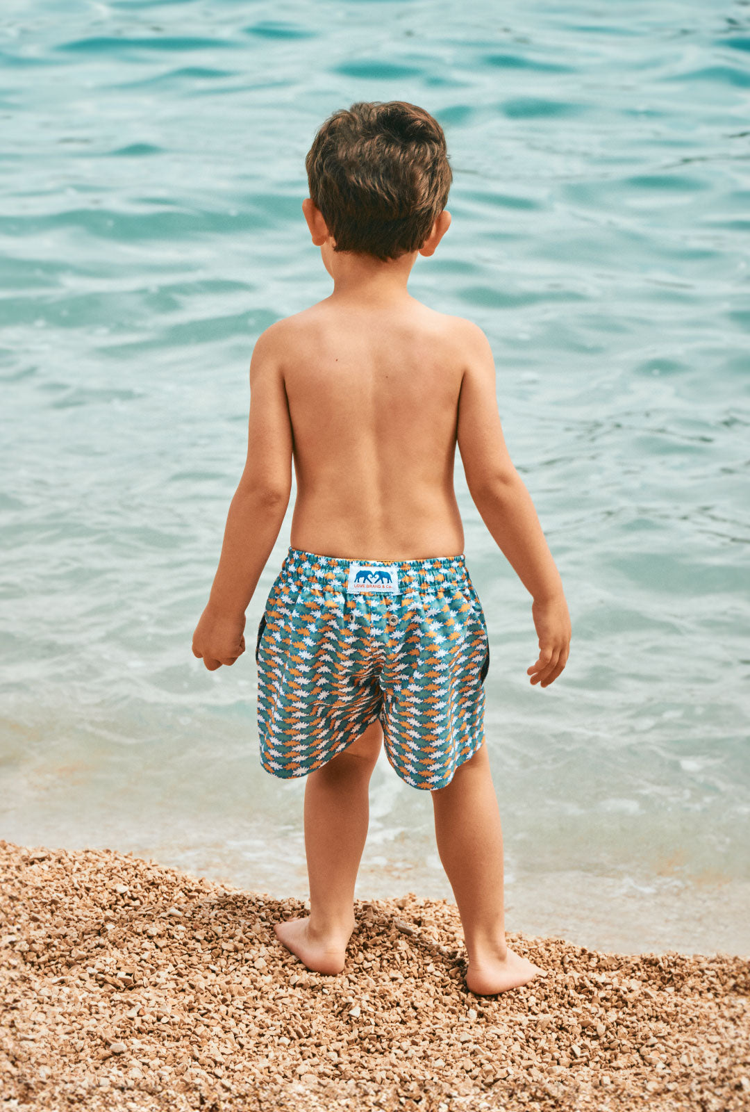 boys printed swim shorts