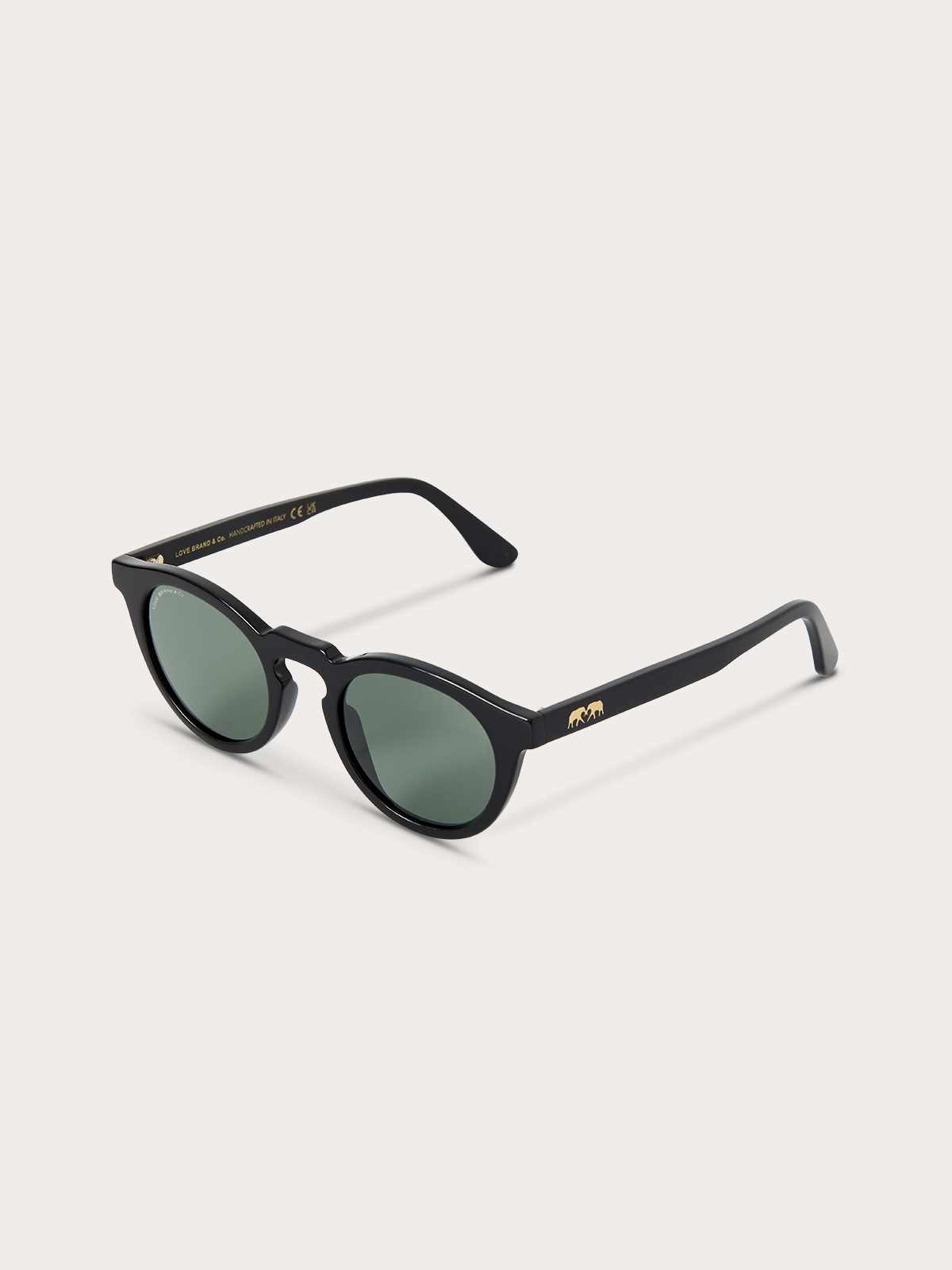 Black sunglasses with green lenses on a white background