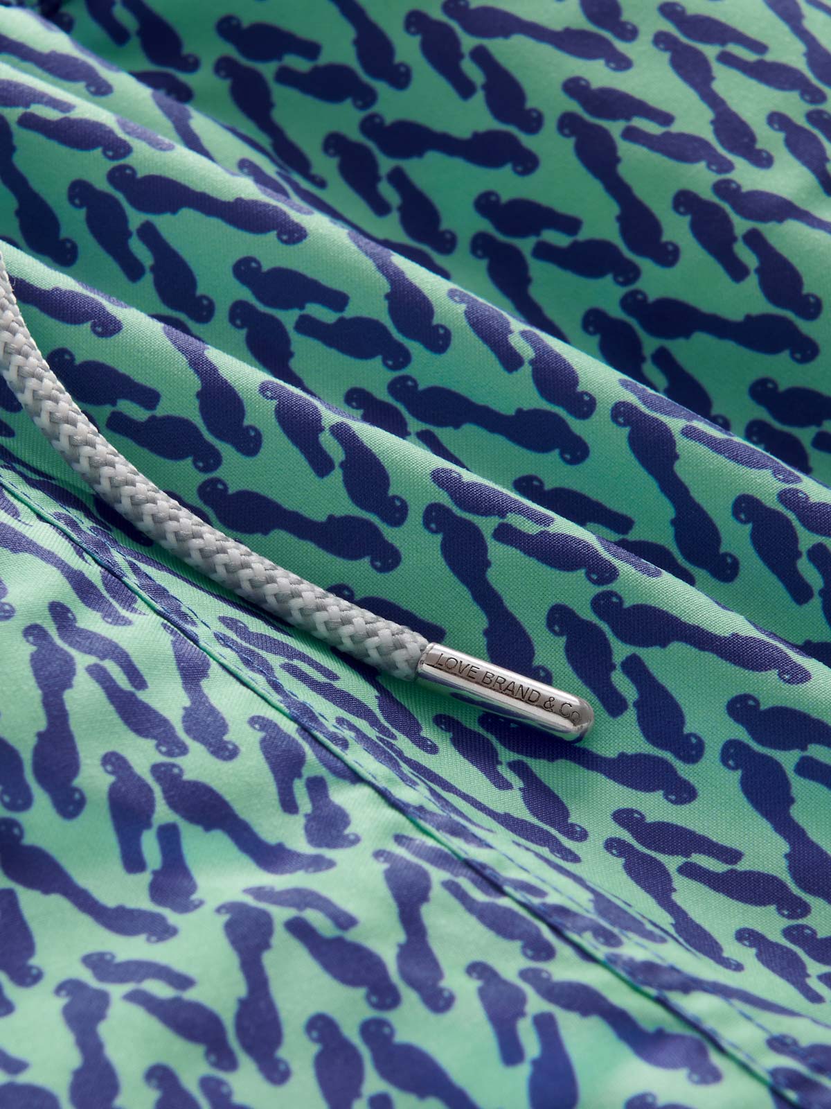 Detailed view of Men's Parrot Paradise Staniel Swim Shorts. Close-up view of drawstring and parrot patterned design.