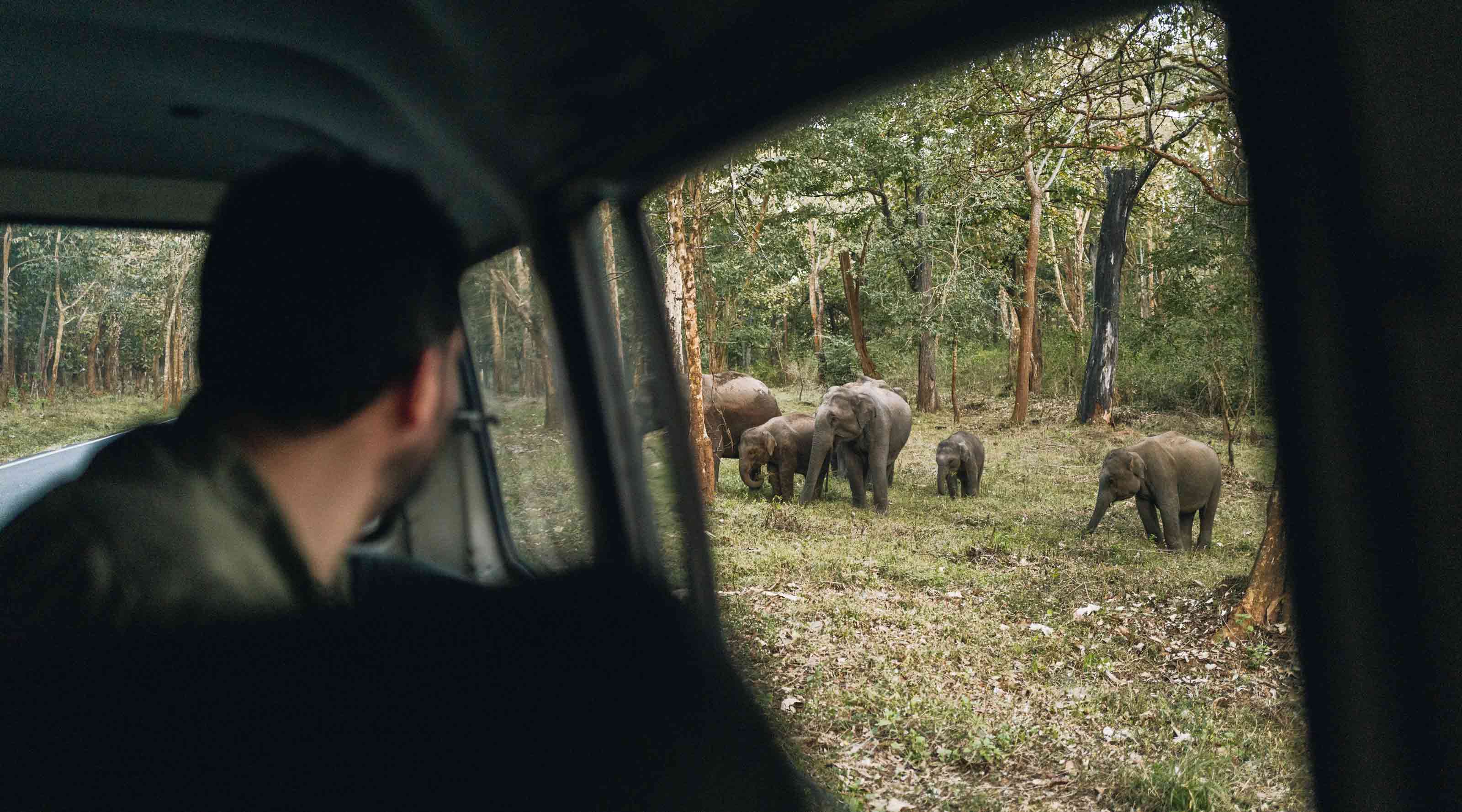 Love Brand & co. founder Oliver Tomalin with wild Indian elephants