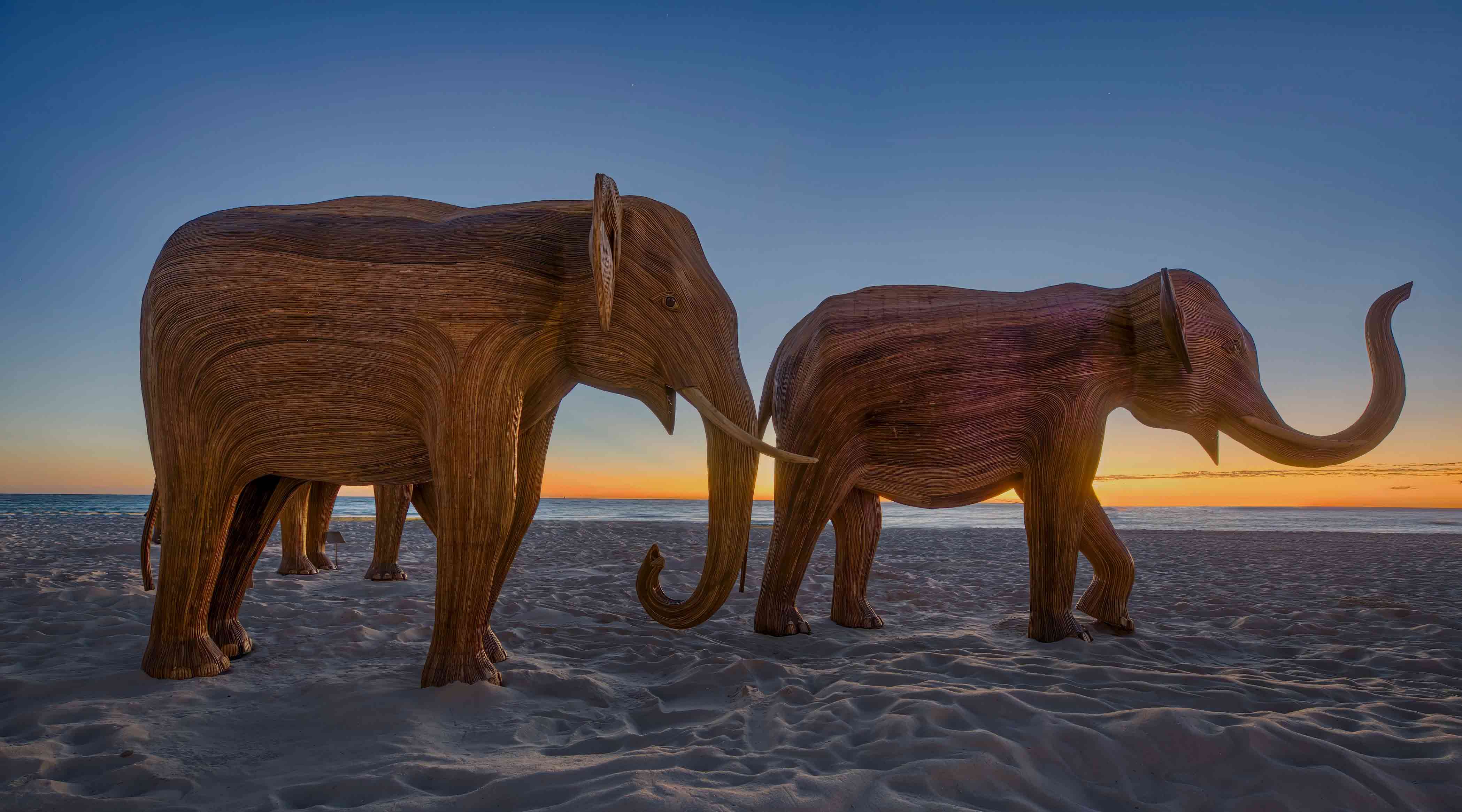 The Great Elephant Migration Miami at sunset