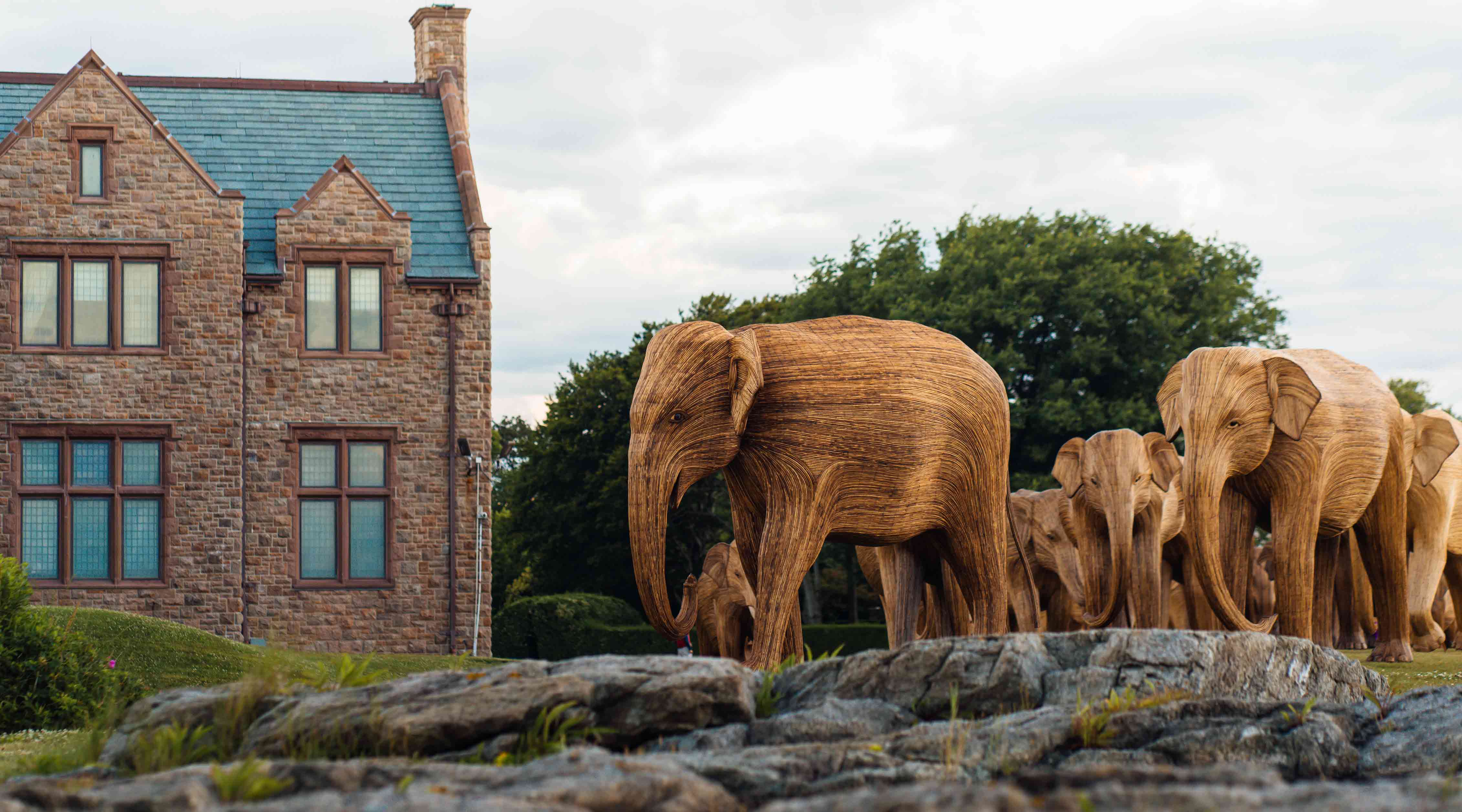 The GEM Newport Elephant Sculptures