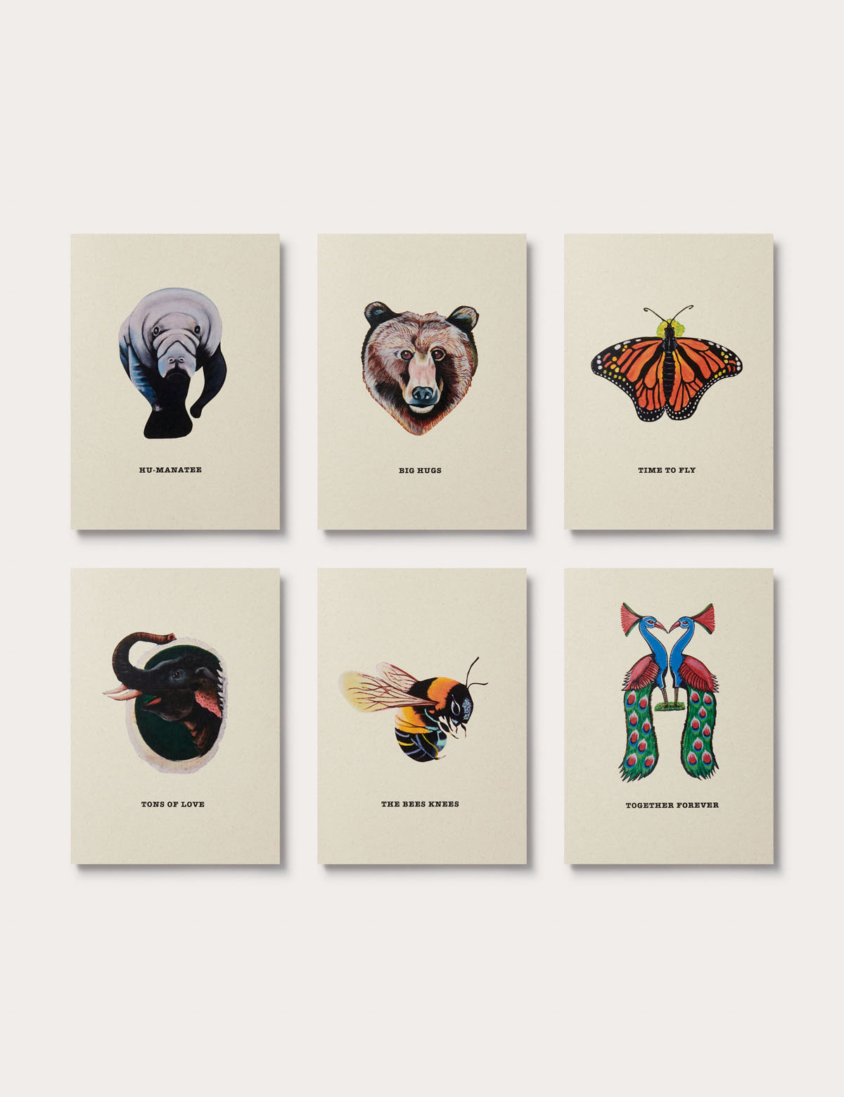 Truck Art Greeting Cards Set of 6 featuring the manatee, bear, butterfly, elephant, bumble bee and peacock.