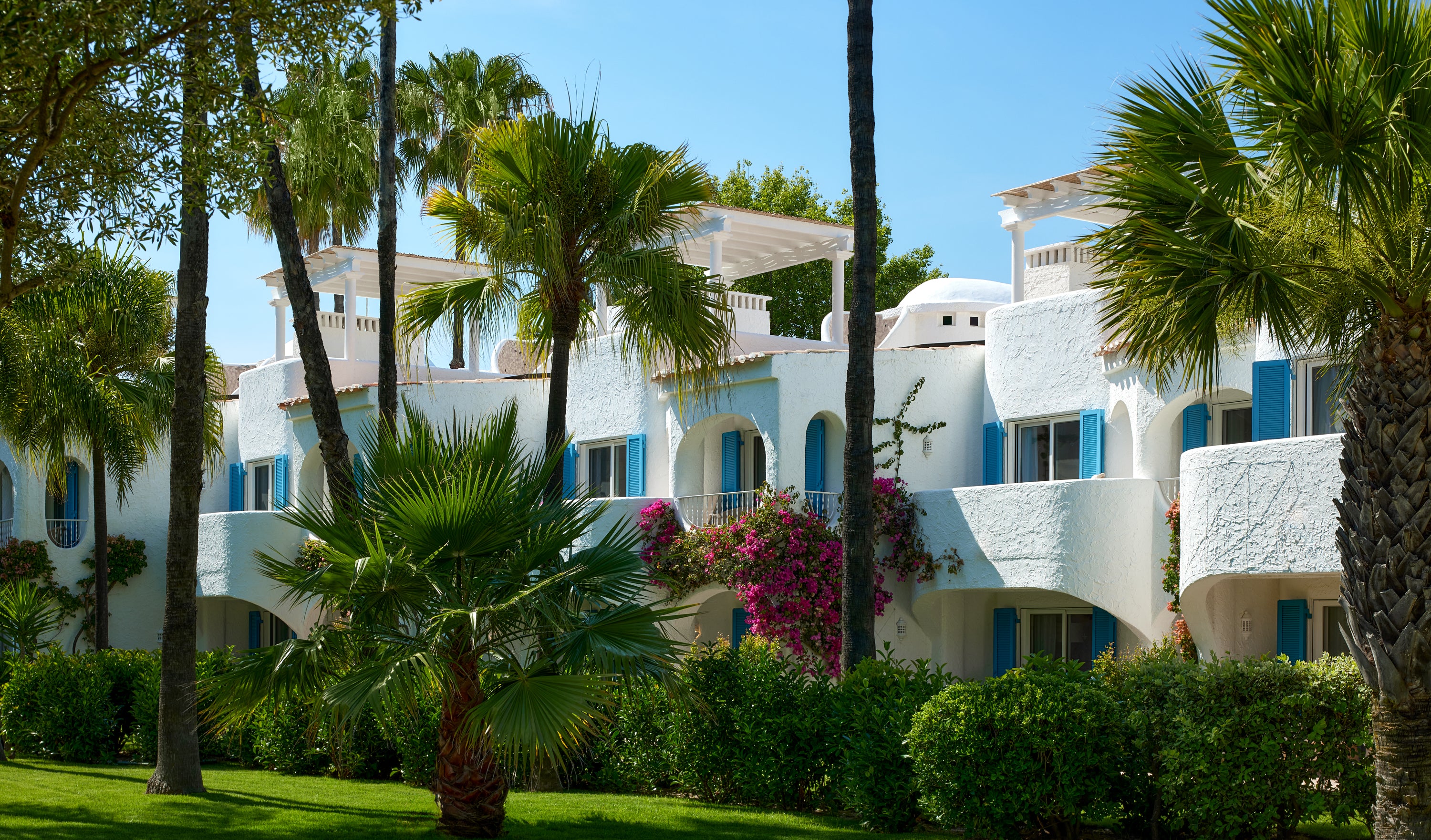 White building with blue accents surrounded by palm trees and greenery