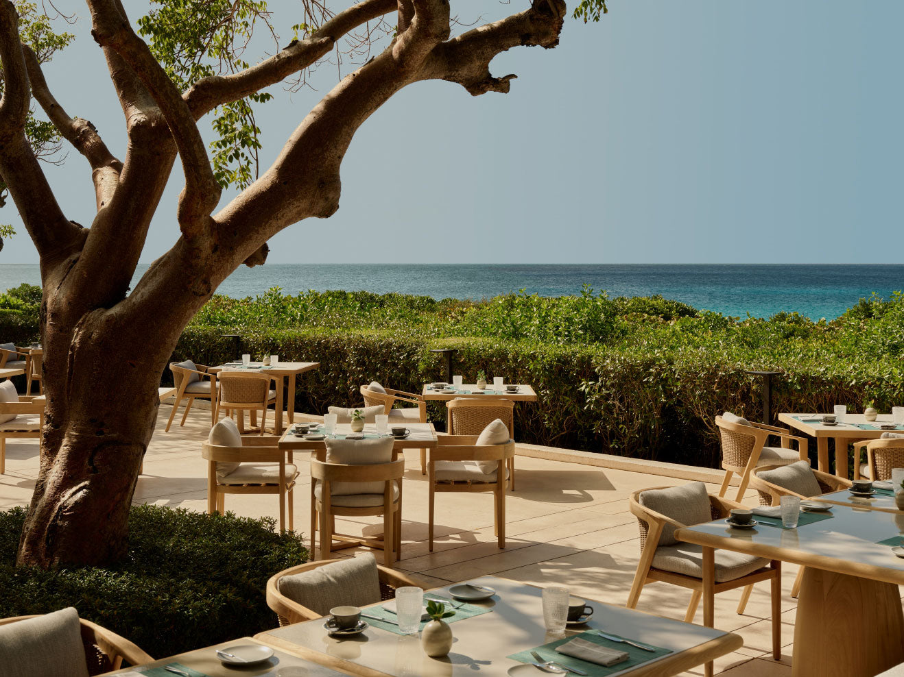 Outdoor dining area with tables and chairs by a tree, overlooking the ocean.