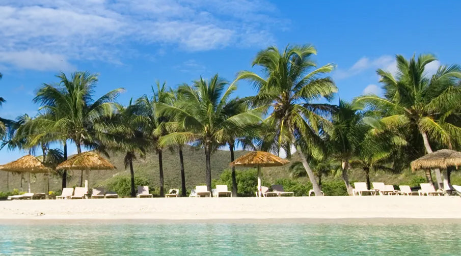 Beach scene with palm trees, lounge chairs, and umbrellas under a clear blue sky.
