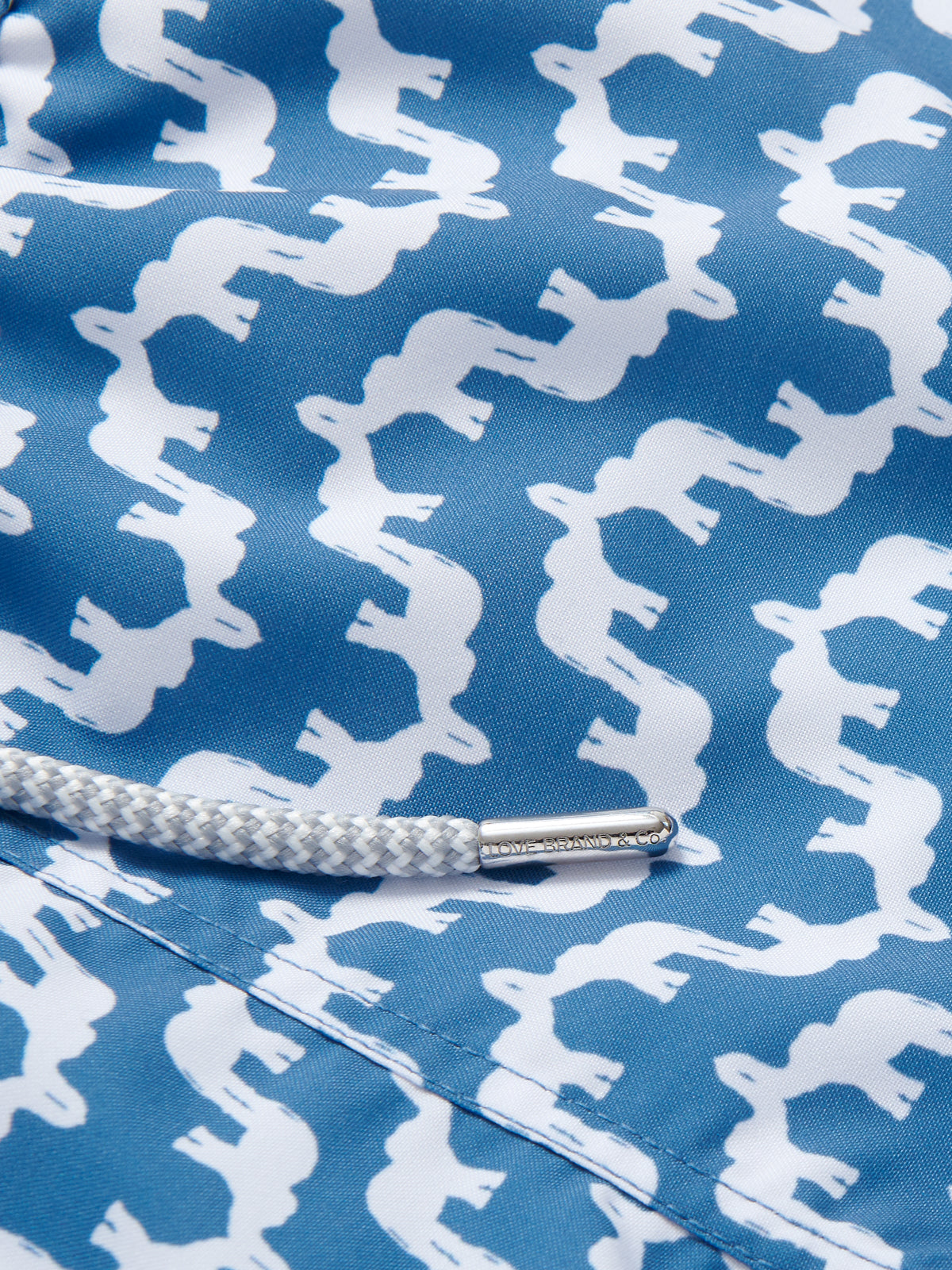 Detailed view of Boys Elephant Palace Blue Staniel Swim Shorts. Animal swim shorts for kids.