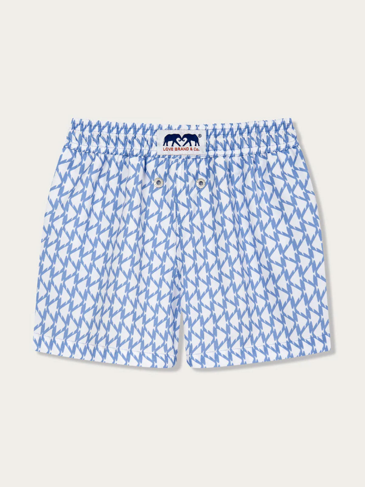 Boys My Way Or The Highway Staniel Swim Shorts featuring a white triangular Angelfish motif on a Sky Blue background.
