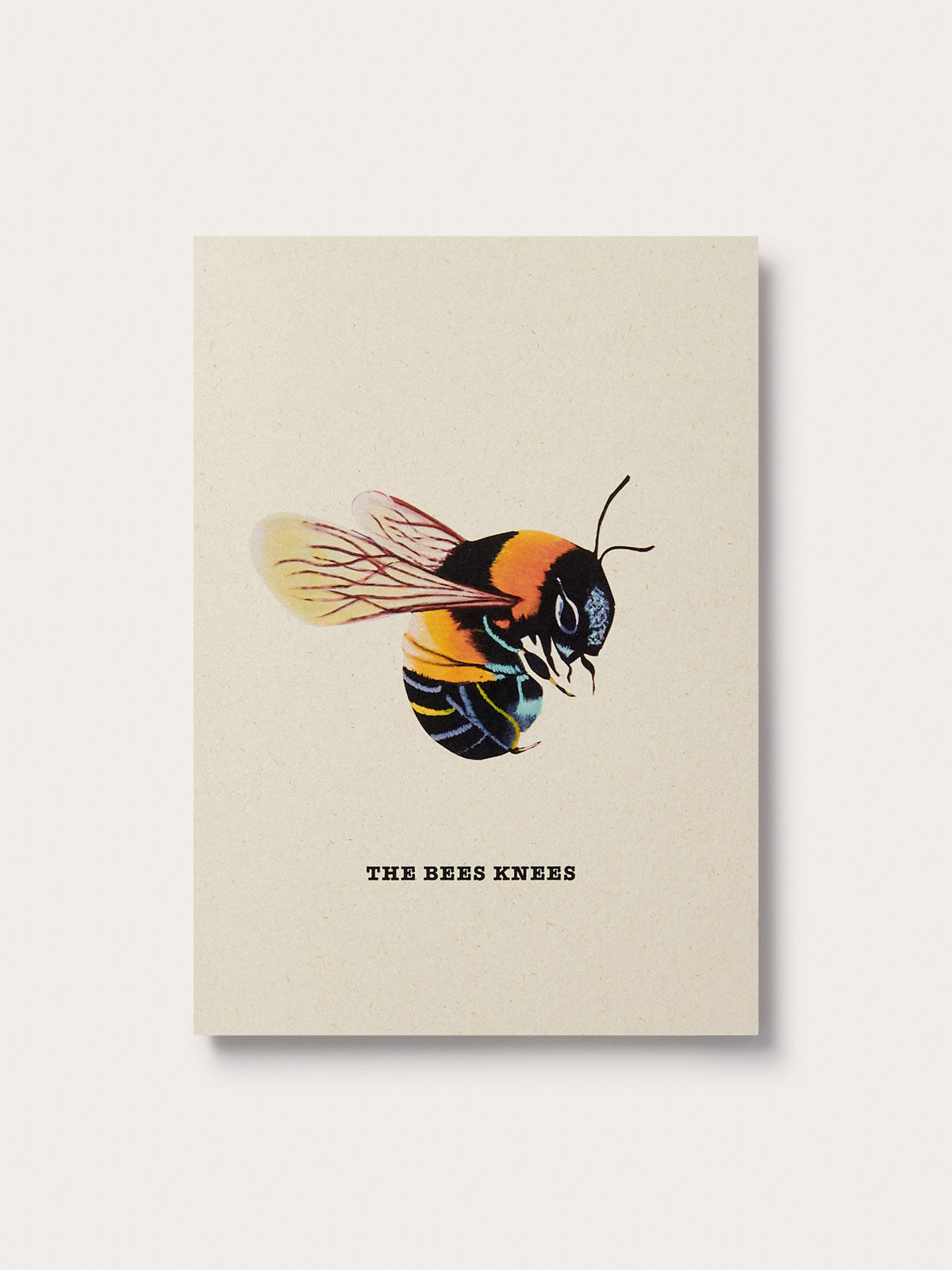 The Great Elephant Migration Bumble bee Greeting Card featuring 'The Bees Knees' text.