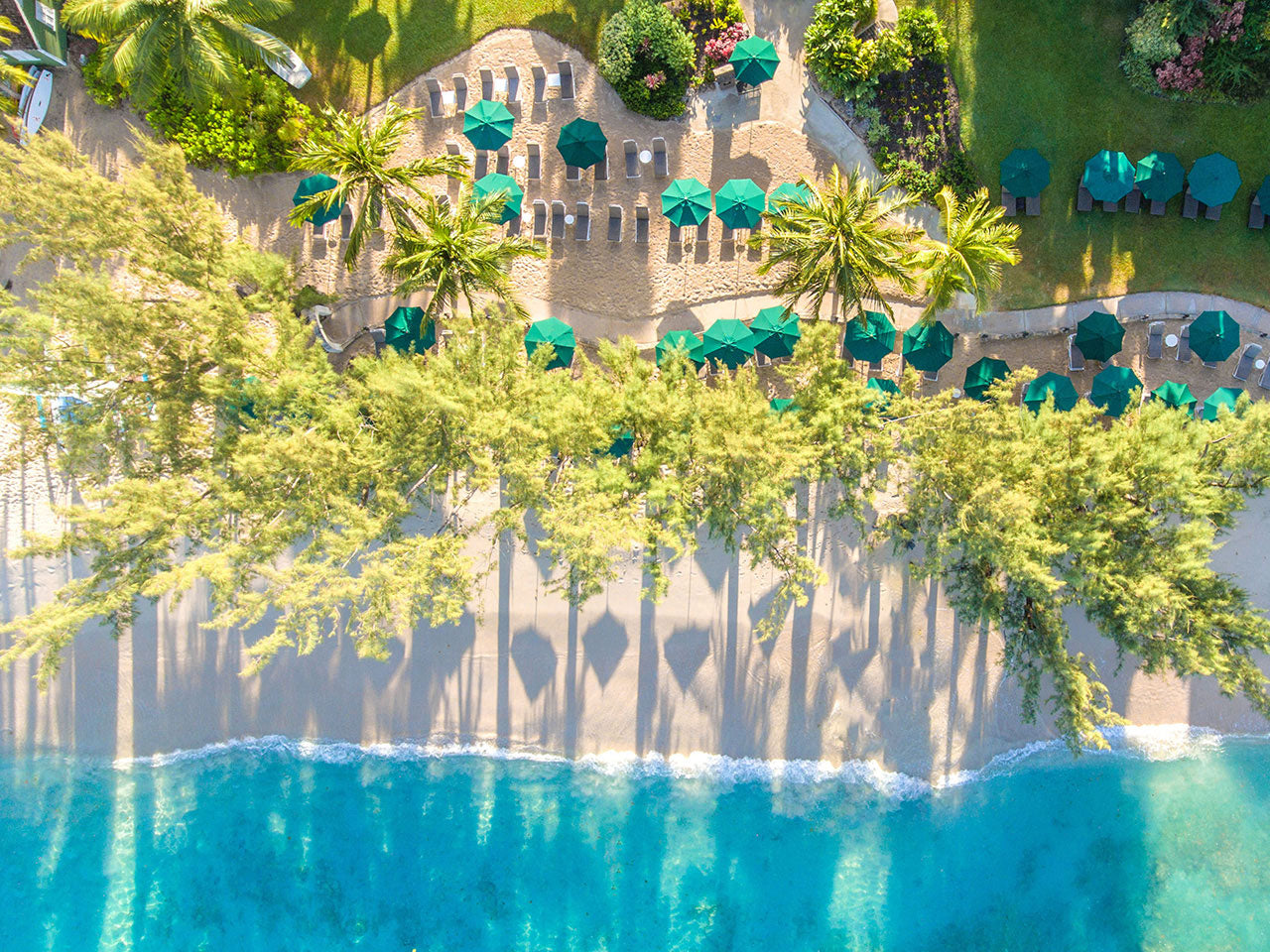 Aerial view of Coral Reef Club beachfront resort with palm trees and green umbrellas.