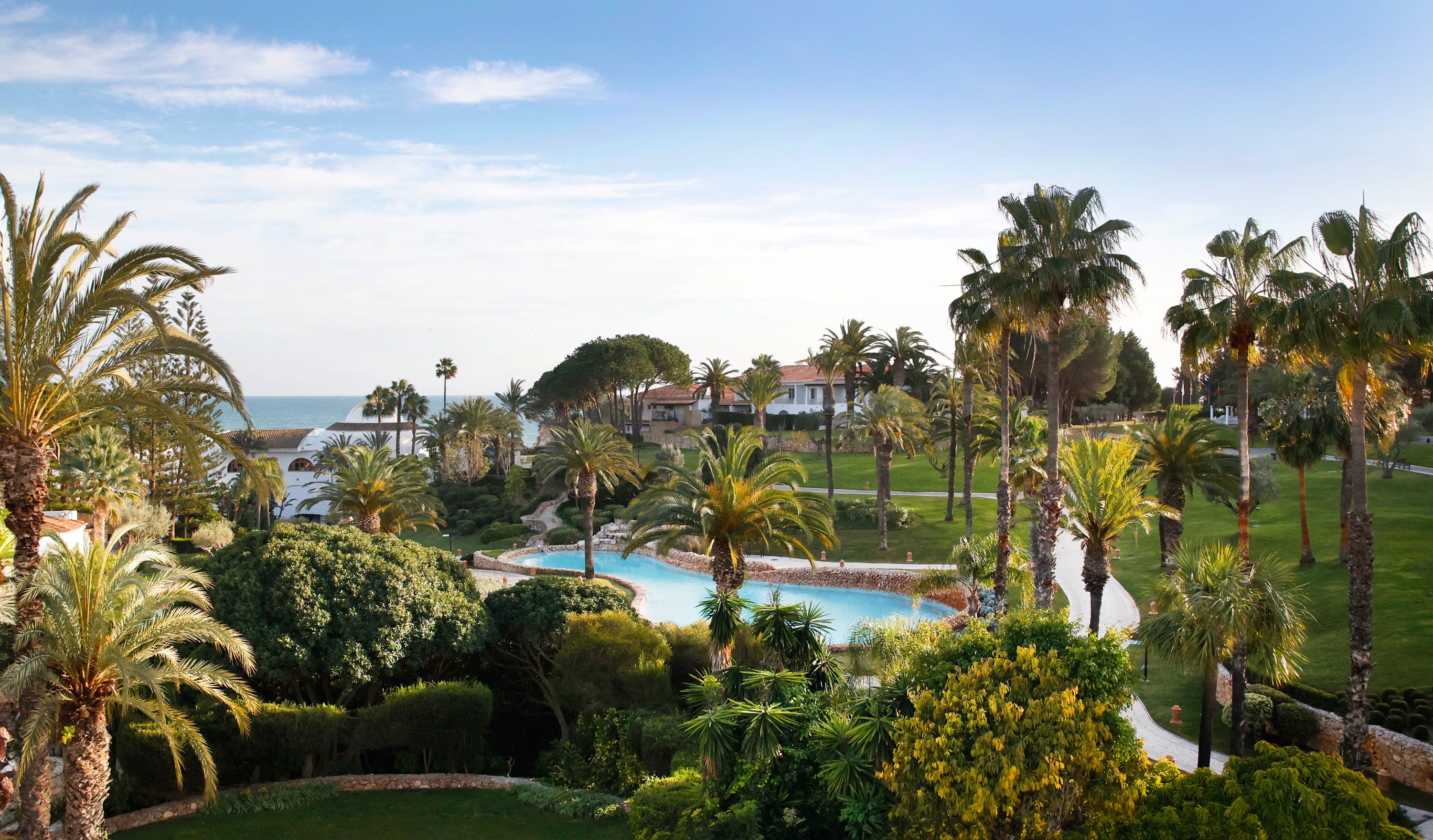 Lush garden with palm trees and a pool, overlooking the ocean.