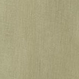 swatch of olive green fabric