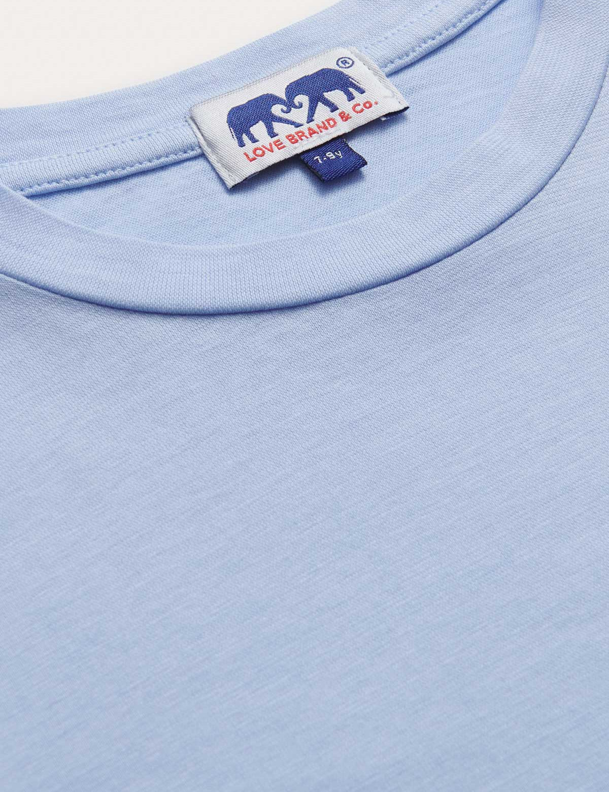 Close-up view of Kids Sky Blue Lockhart With Tab T-Shirt.