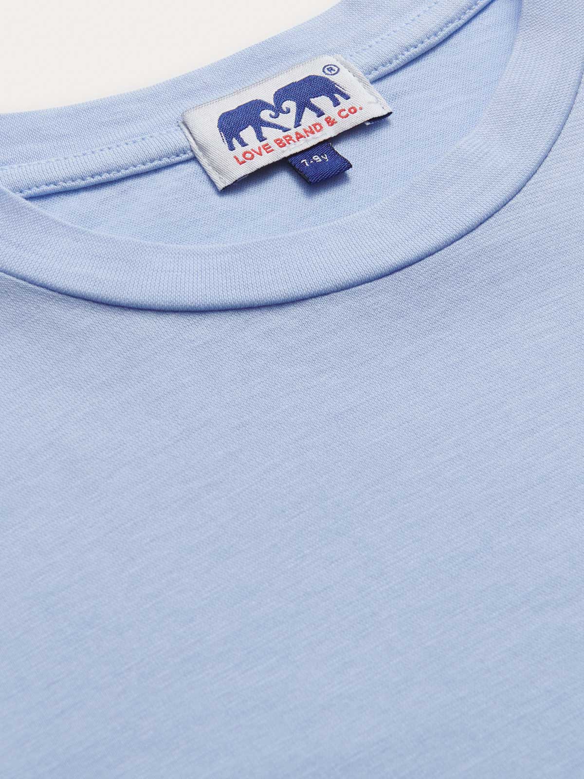 Close-up view of Kids Sky Blue Lockhart With Tab T-Shirt.