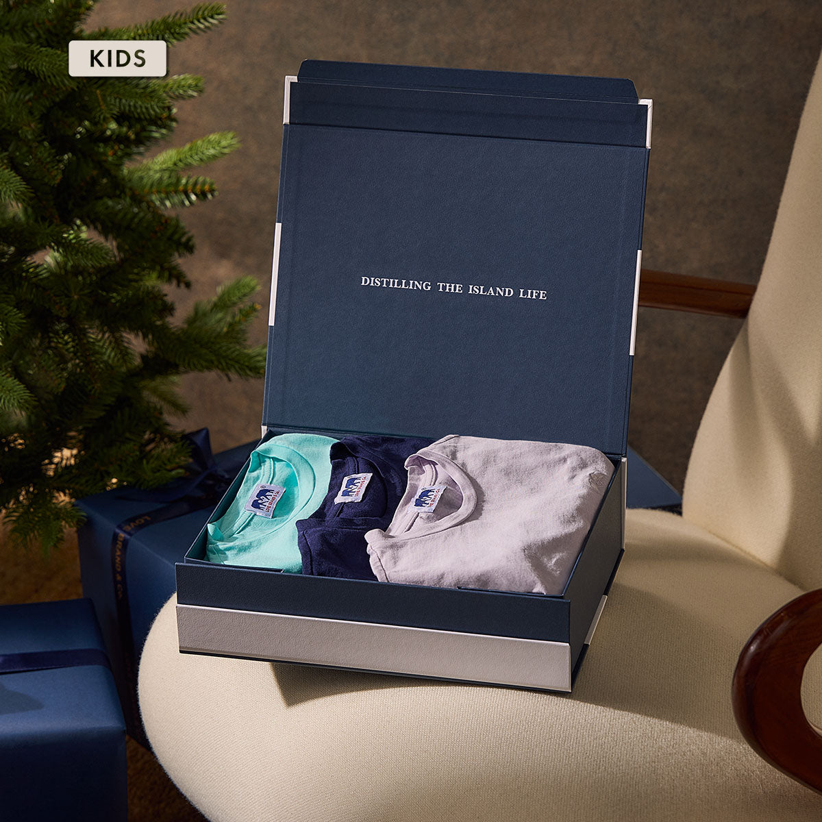 Open navy blue box containing folded t-shirts.