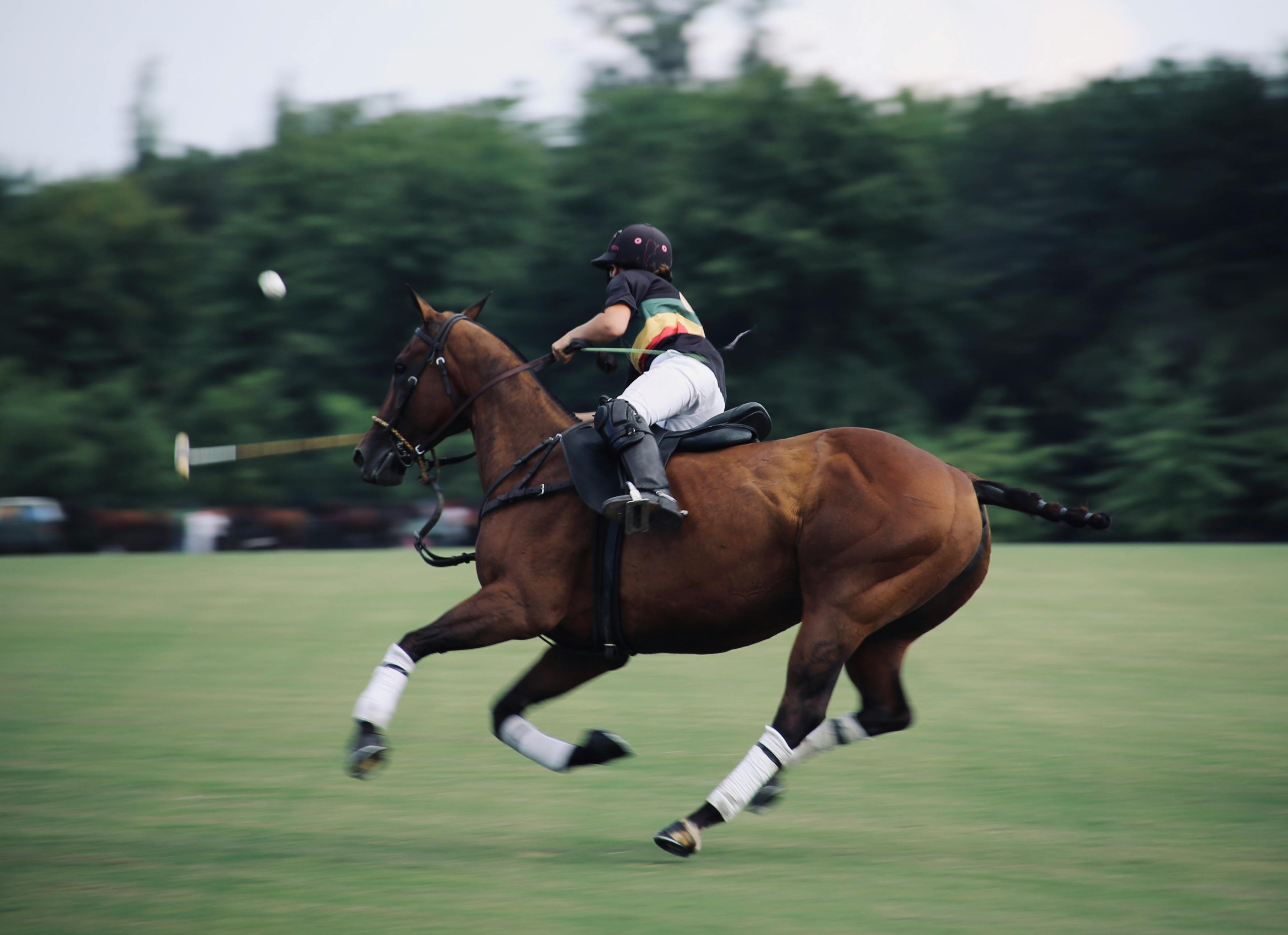 Polo player on a horse in action with trees in the background