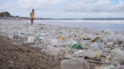 love brand sustainability video