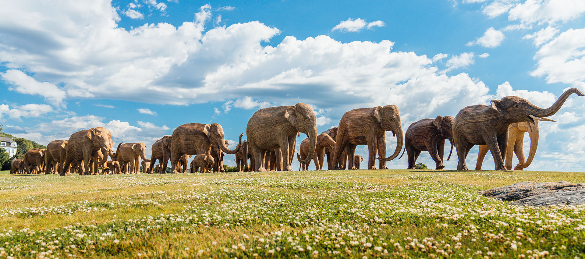 The great elephant migration campaign by resort wear uk brand Love Brand & co.