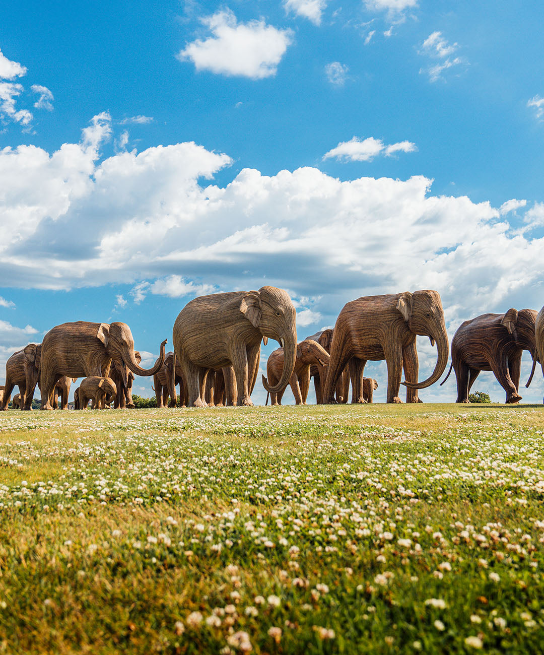 The great elephant migration campaign by beachwear brand Love Brand & co.