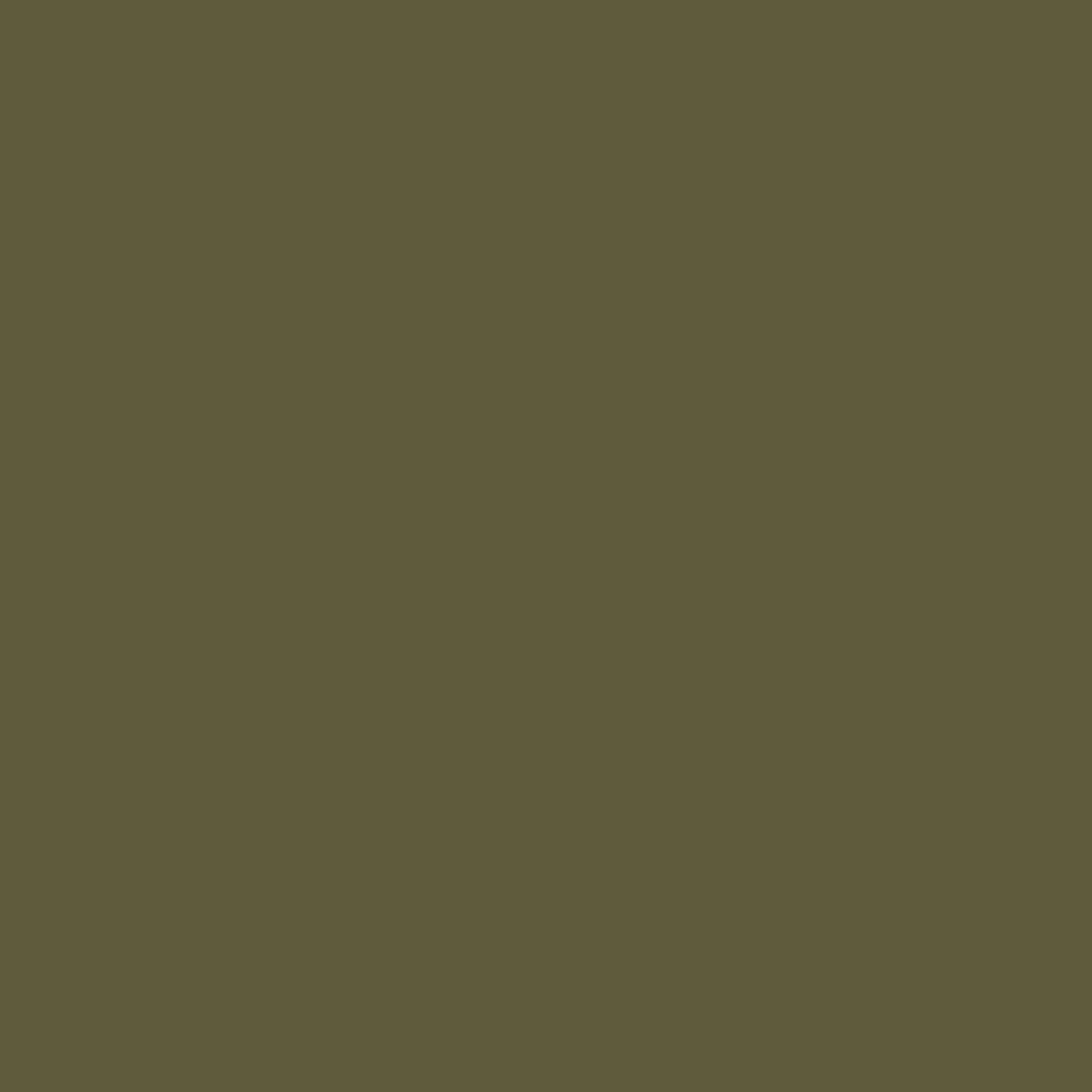 A solid dark olive green colour swatch.