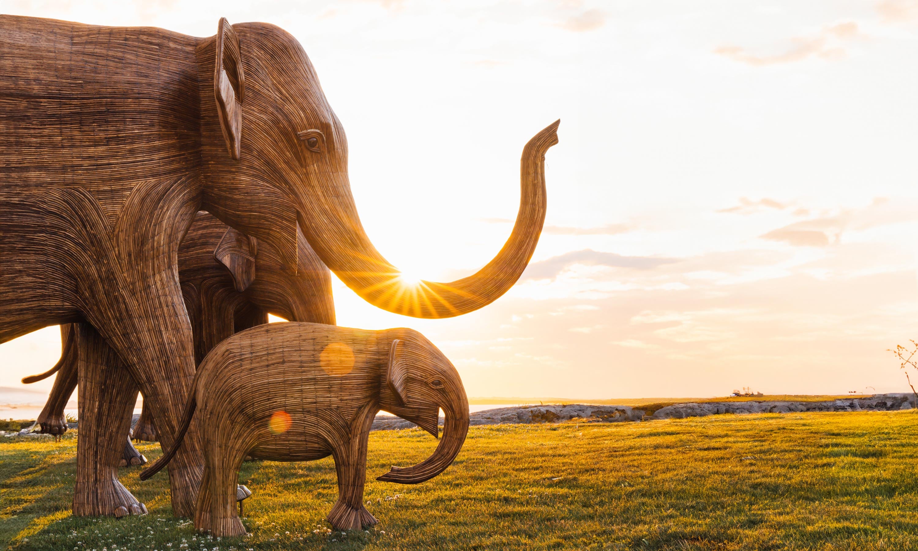 Two wooden elephant statues standing in a grassy field with a sunset in the background