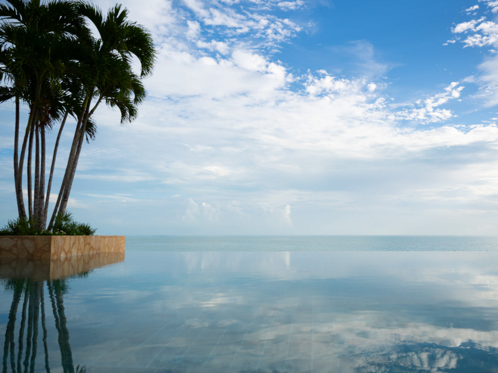 Infinity pool with palm trees and blue sky reflection looking into the sea of turks and caicos